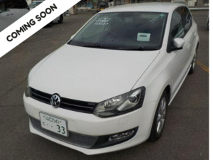 Volkswagen Polo 2011 With Fog
